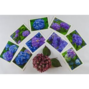 NEW- Set of 9 HYDRANGEA Photo Greeting Cards Blank